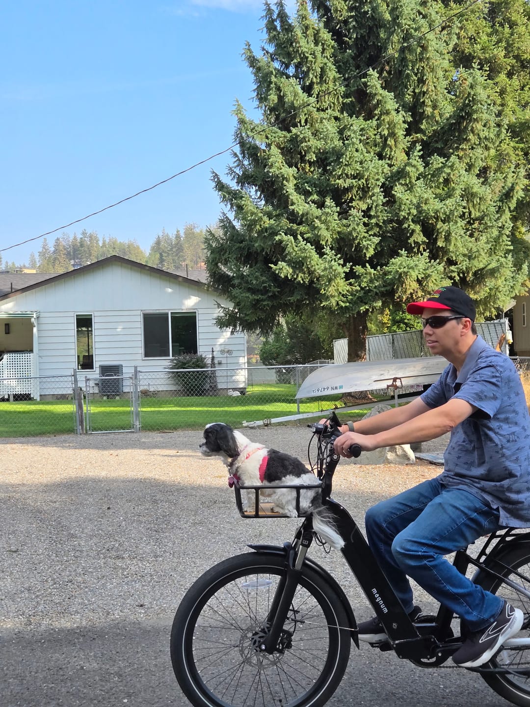 Customer photo review of Multi-Purpose Front Cargo Basket