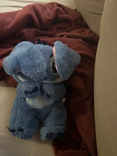 Customer photo review of Verzendverzekering