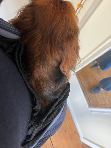 Customer photo review of Sac de transport en bandoulière