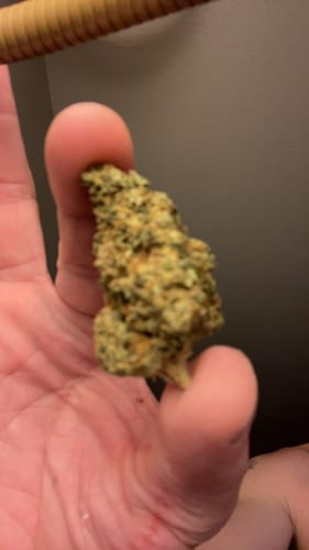 Customer photo review of Sour Diesel THCA Flower