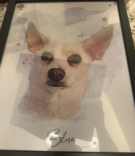 Customer photo review of Πορτραίτο Κατοικίδιου - Νερομπογιά