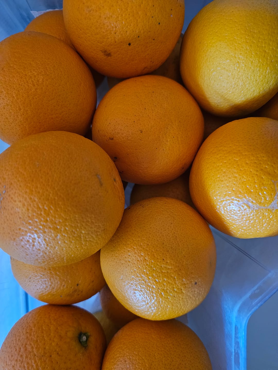 Customer photo review of Orangen Bio „Valencia-Late“