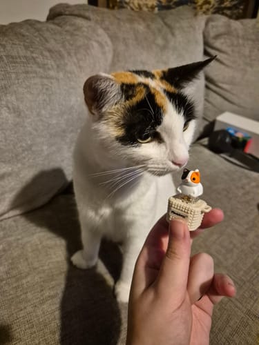 Customer photo review of Meowkey - Fidget Toy that Meows!
