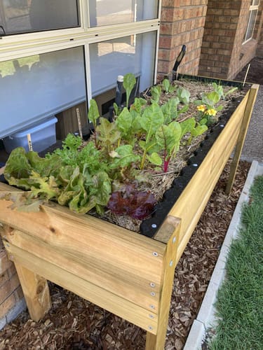 Customer photo of their LARGE Raised Garden Bed on Legs