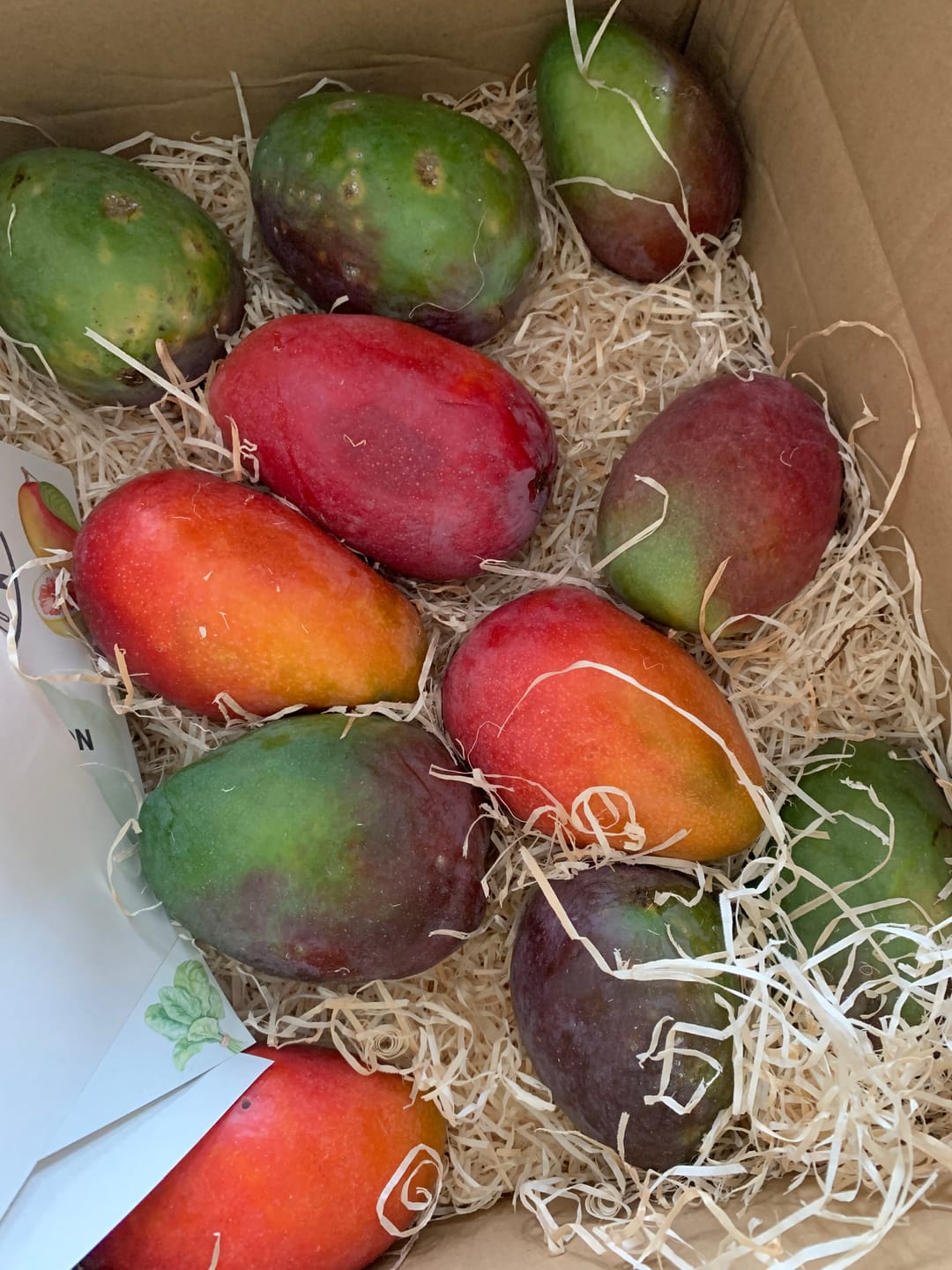 Customer photo review of Mango Irwin & Sensacion Bio Aktionsbox