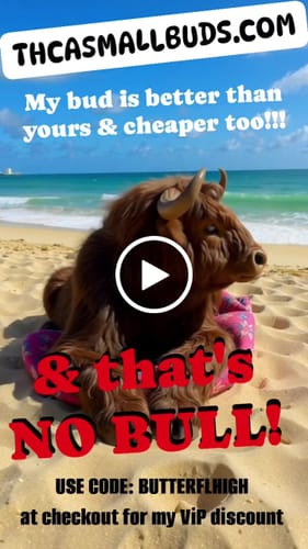 Customer video review of L'Orange THCA Flower