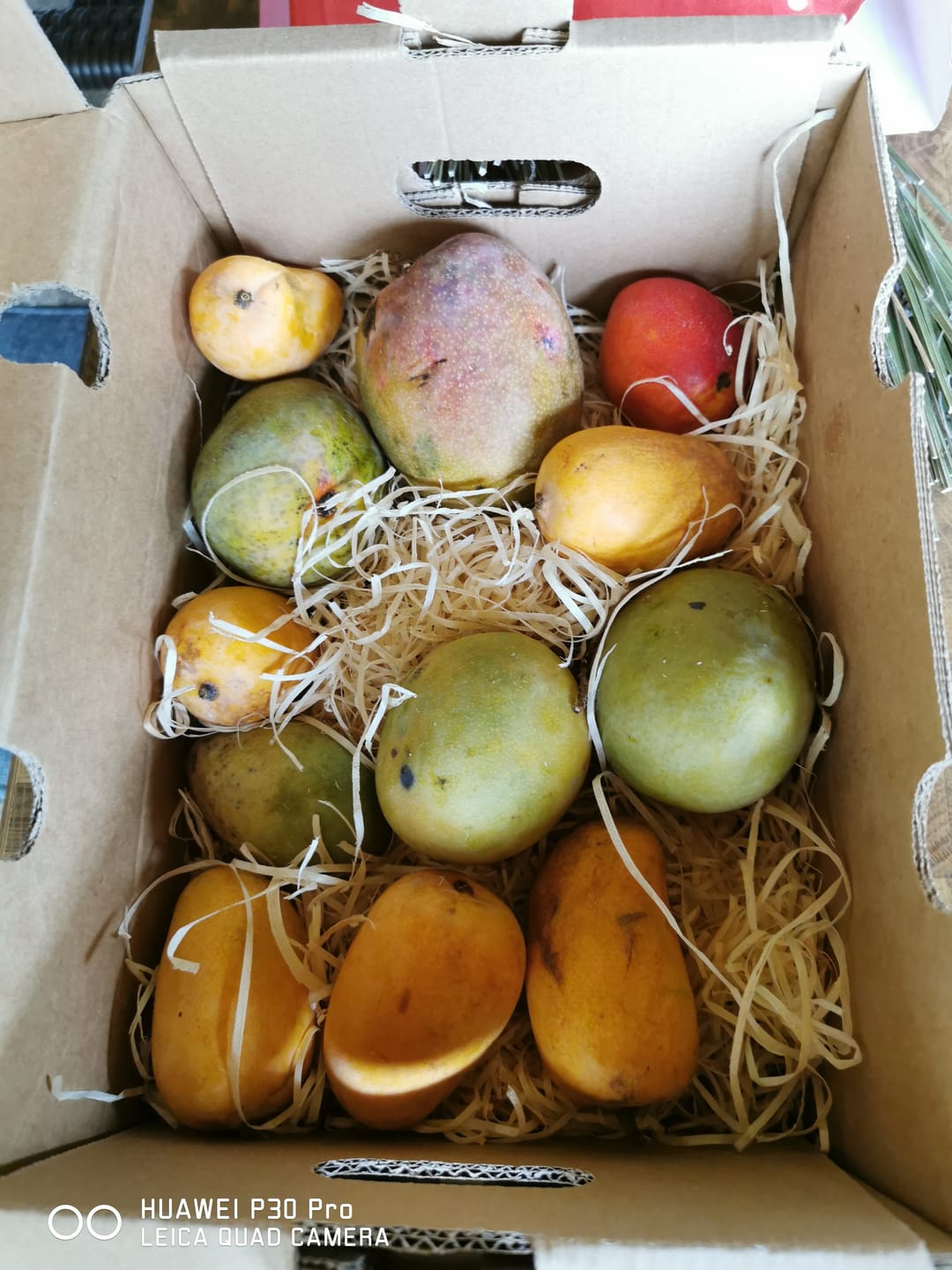 Customer photo review of Baby-Mango Mix "Wild Wonders" Box