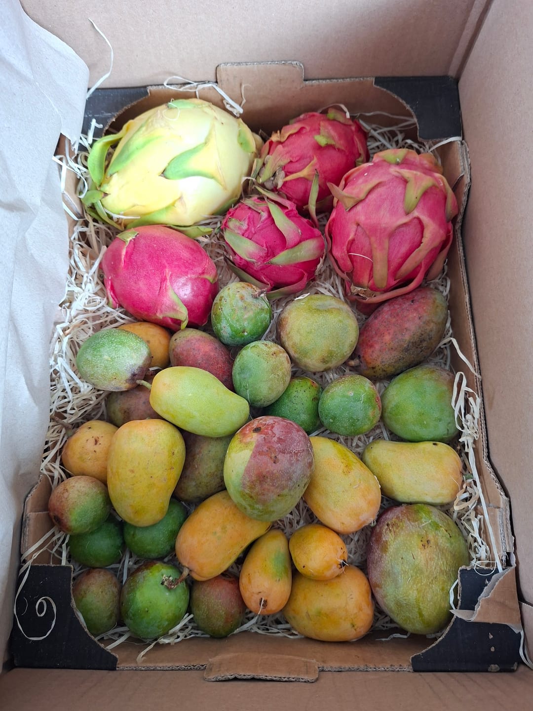 Customer photo review of Drachenfrucht Mix bunt Bio Aktionswoche %