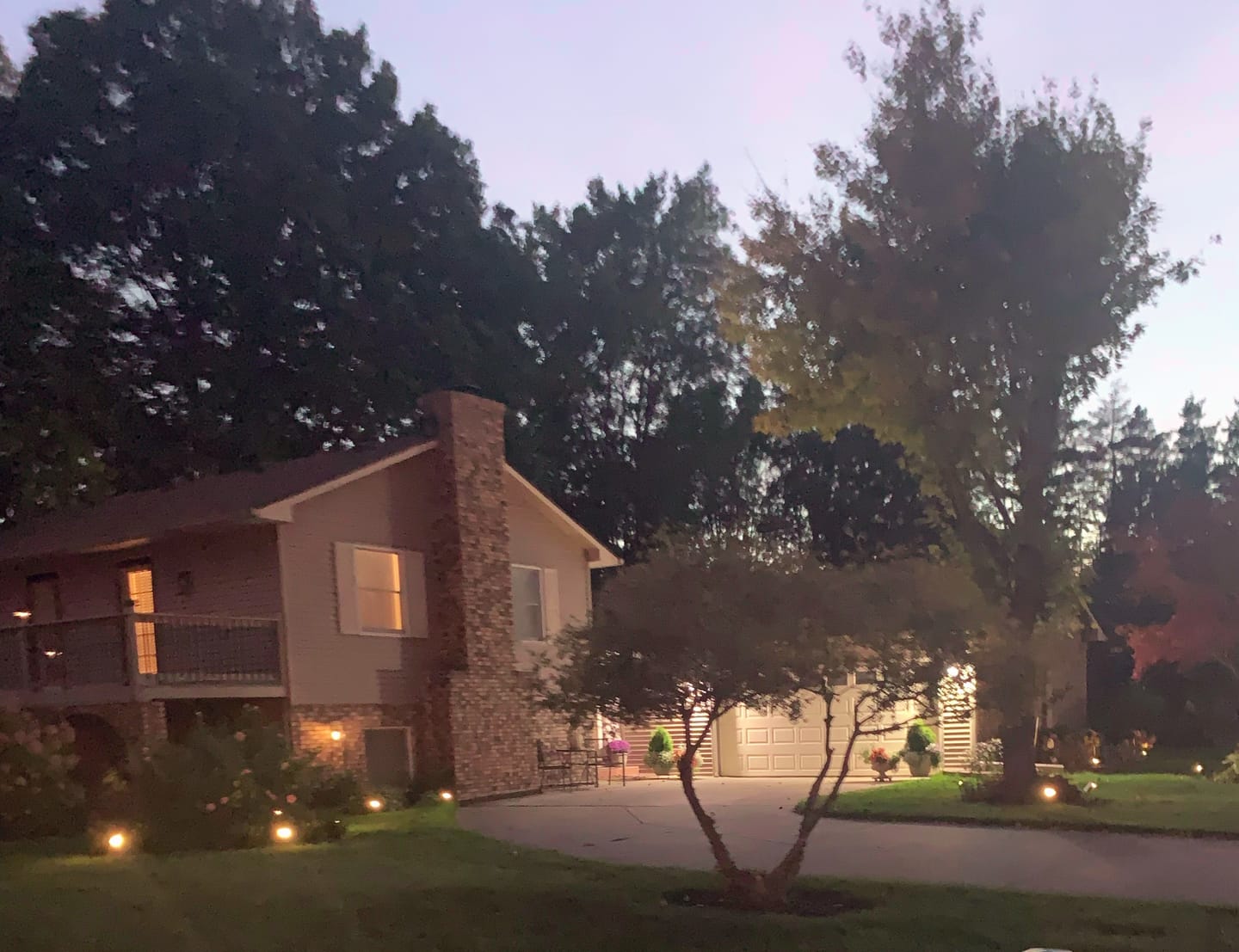 Customer photo review of Warm White Solar Spotlights 20 LED For Garden