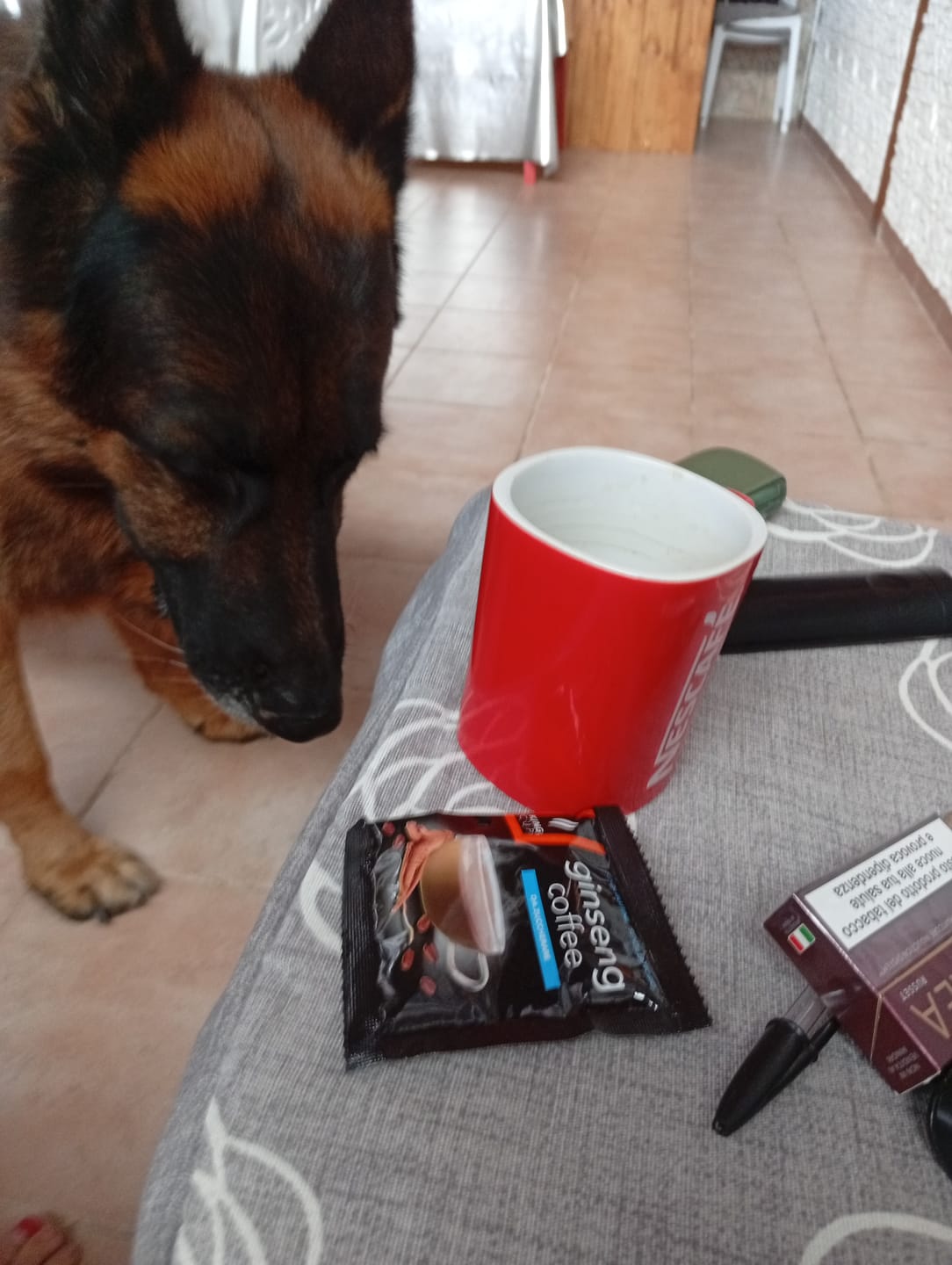 Customer photo review of 240 bustine di Caffè al Ginseng da zuccherare
