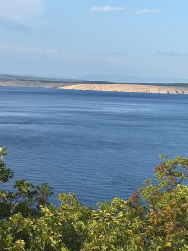 Customer photo review of Kolagen Shot