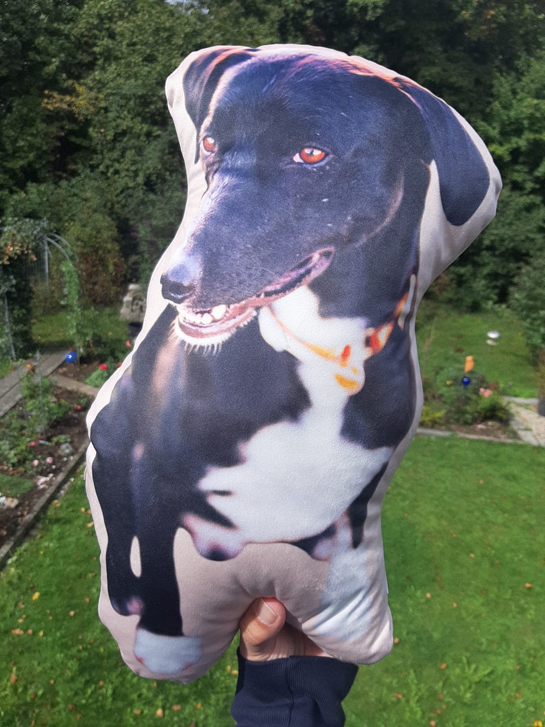 Customer photo review of Personalisiertes Hundekissen