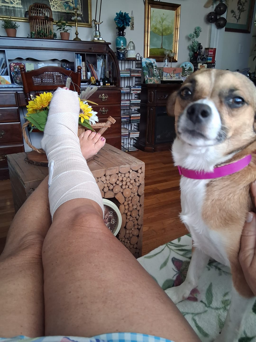 Customer photo review of FurLife Shipping Protection