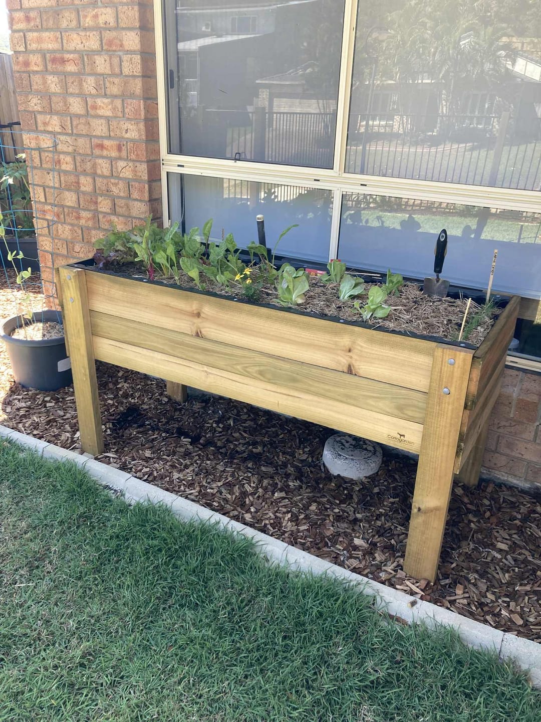 Customer photo review of LARGE Raised Garden Bed on Legs - Timber | 157x60x80cm(h)