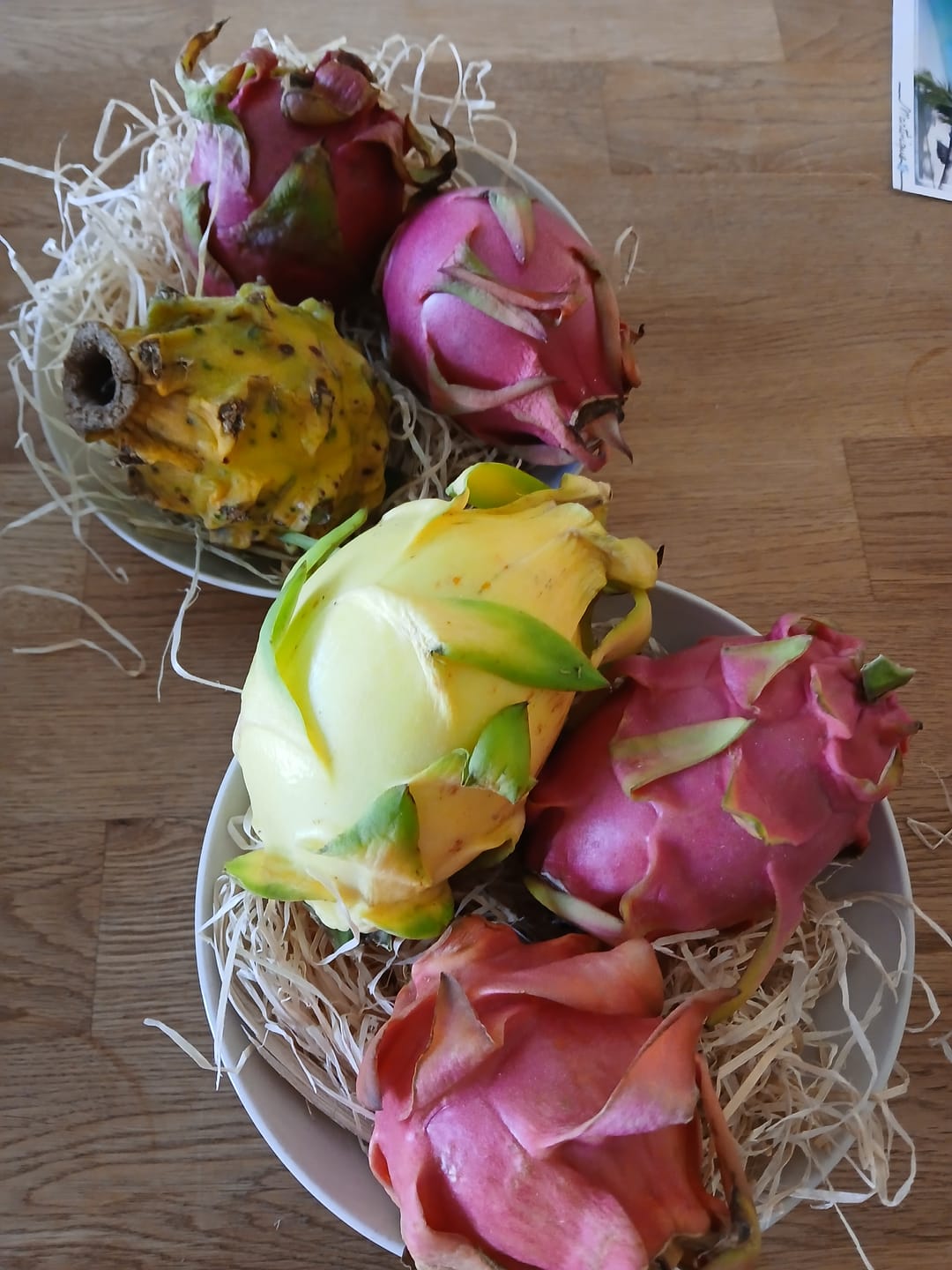 Customer photo review of Drachenwunder Box (6 Sorten!) Wochenaktion