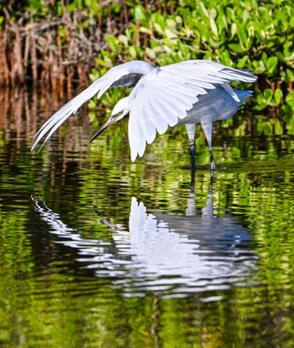 Customer photo review of 8x10 Giclee Fine Art Prints