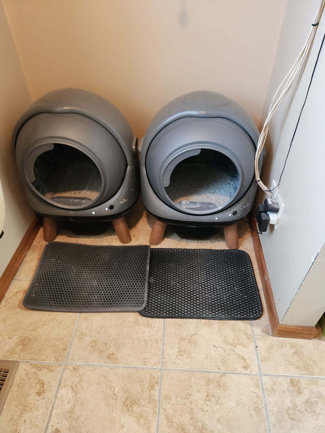 Customer photo review of [🔥Els Pet Day Sale]Orbitie with Wide Opening Self Cleaning Litter Box
