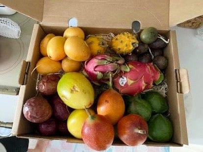 Customer photo review of Tropenreise Südamerika Box