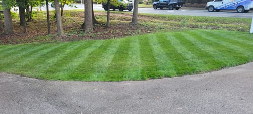 Customer photo review of GCI Turf Spreader Elite Grass Seed