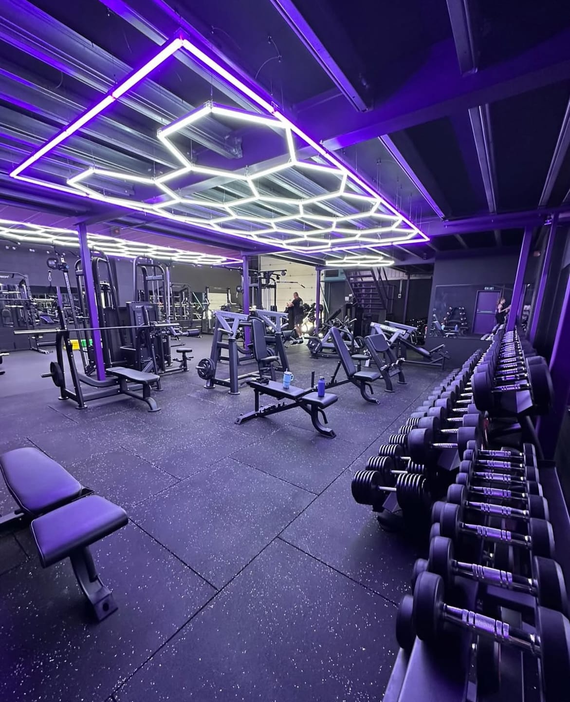 Customer photo review of Hexagon Lights 14 Grid with Purple Frame