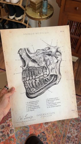 Customer photo review of Zahn Innervation