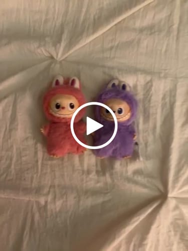Customer video review of THE MONSTERS LABUBU Pin for Love Series-Vinyl Plush Pendant Blind Box