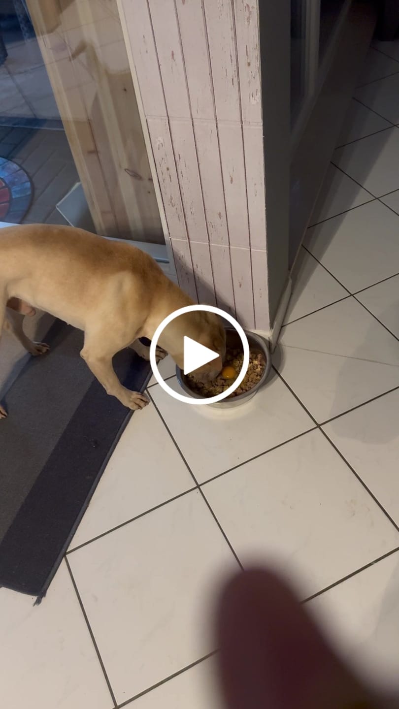 Customer video review of gutQR Willkommenspaket DE