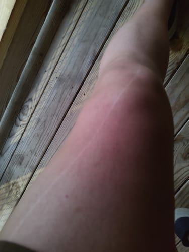 Customer photo review of PLAY -  FREE HUGGING SEAMLESS TIGHTS - SHEER