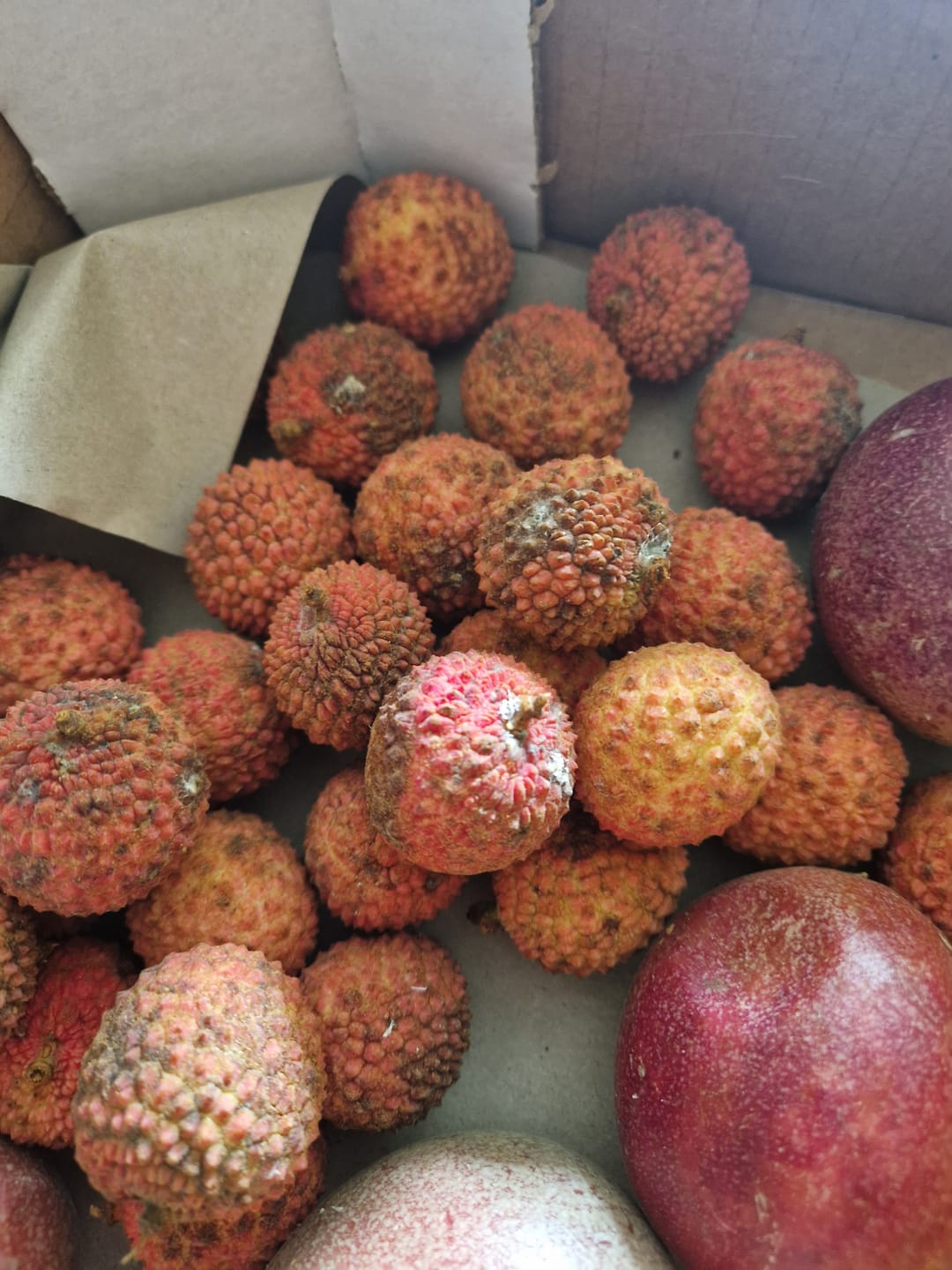 Customer photo review of Litschi (Lychee) Bio von Andrea aus Sizilien