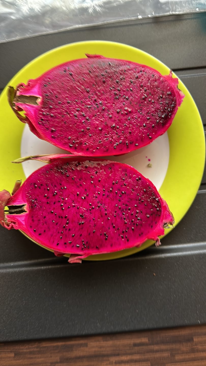 Customer photo review of Drachenfrucht rot Bio von Julian