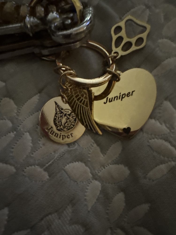 Customer photo review of Custom Pet Face Keychain