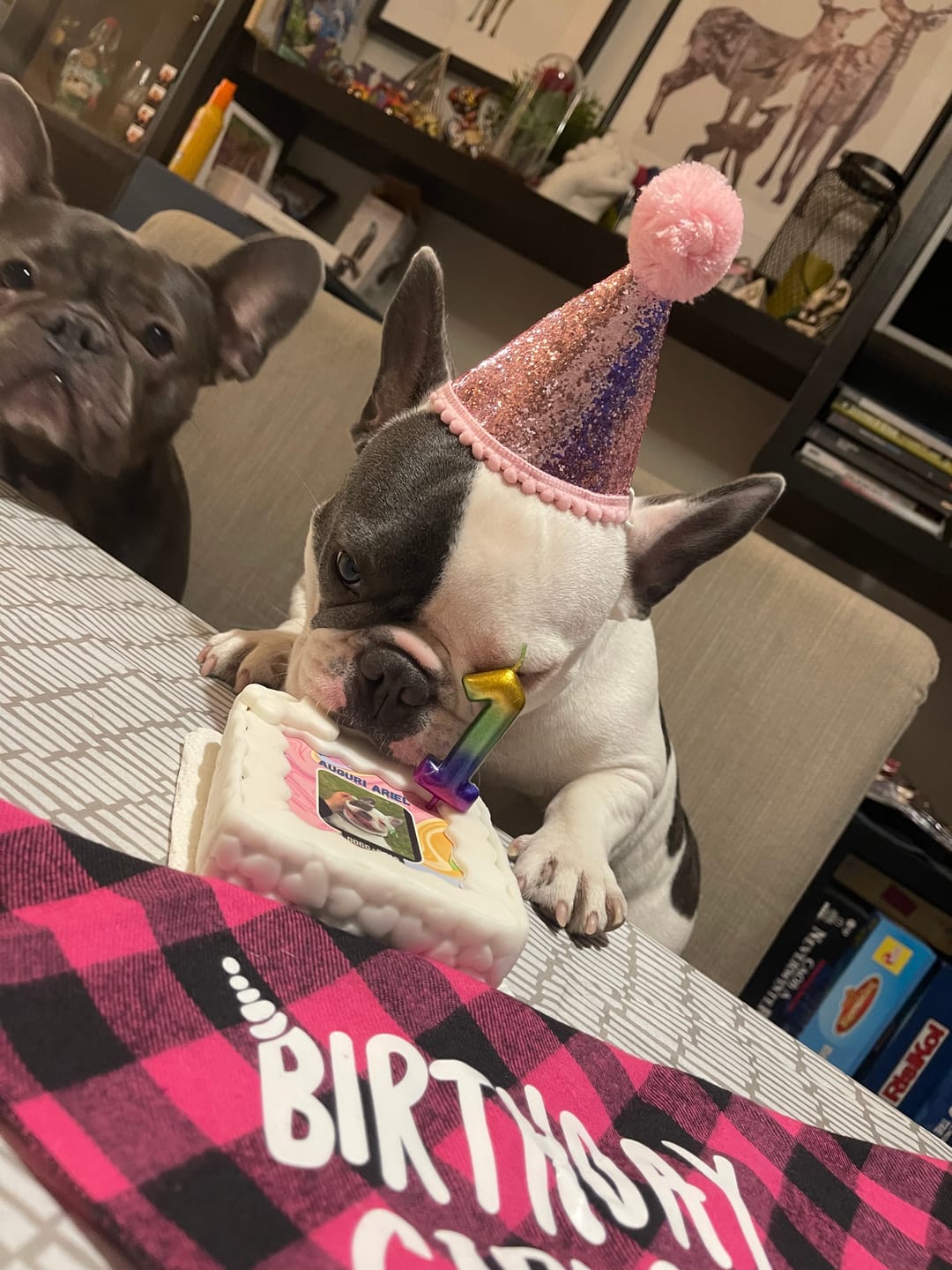 Customer photo review of Fotogenica Torta Per Cani CON FOTO e NOME