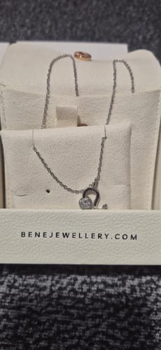 Customer photo review of Zodiac Necklace