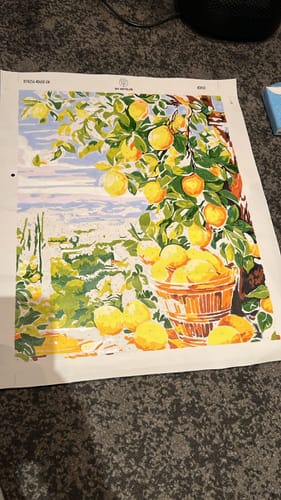 Customer photo review of Lemon tree with stunning view | Paint by Numbers