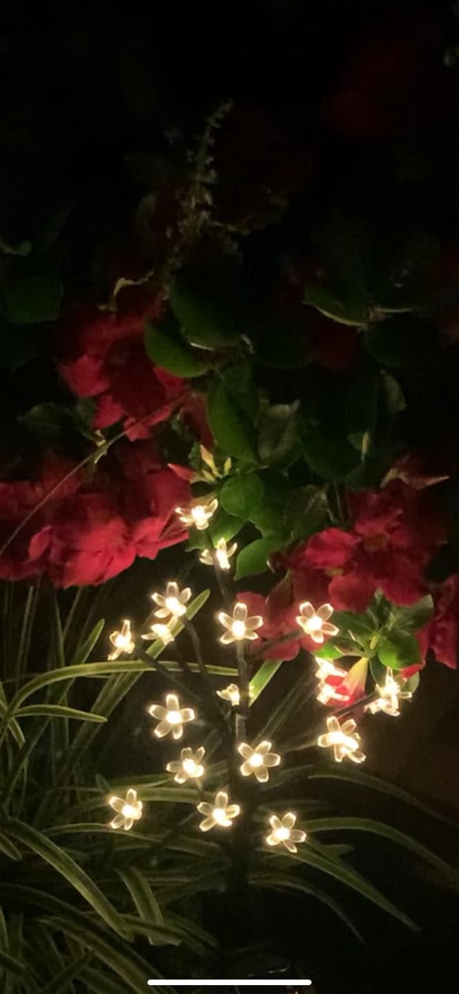 Customer photo review of Mon petit cerisier lumineux®