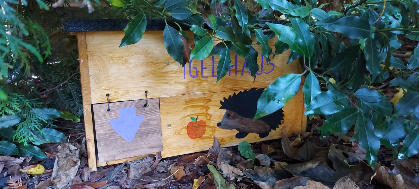 Customer photo review of Igelhaus für Kinder aus Kiefernholz zum Bemalen
