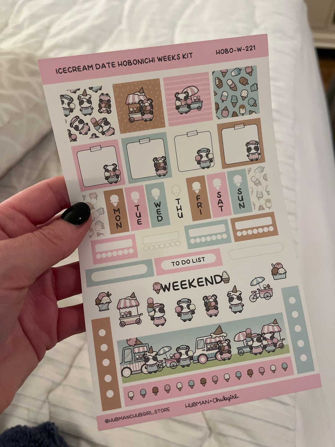 Customer photo review of Icecream Date Theme Hobonichi Weeks Kit