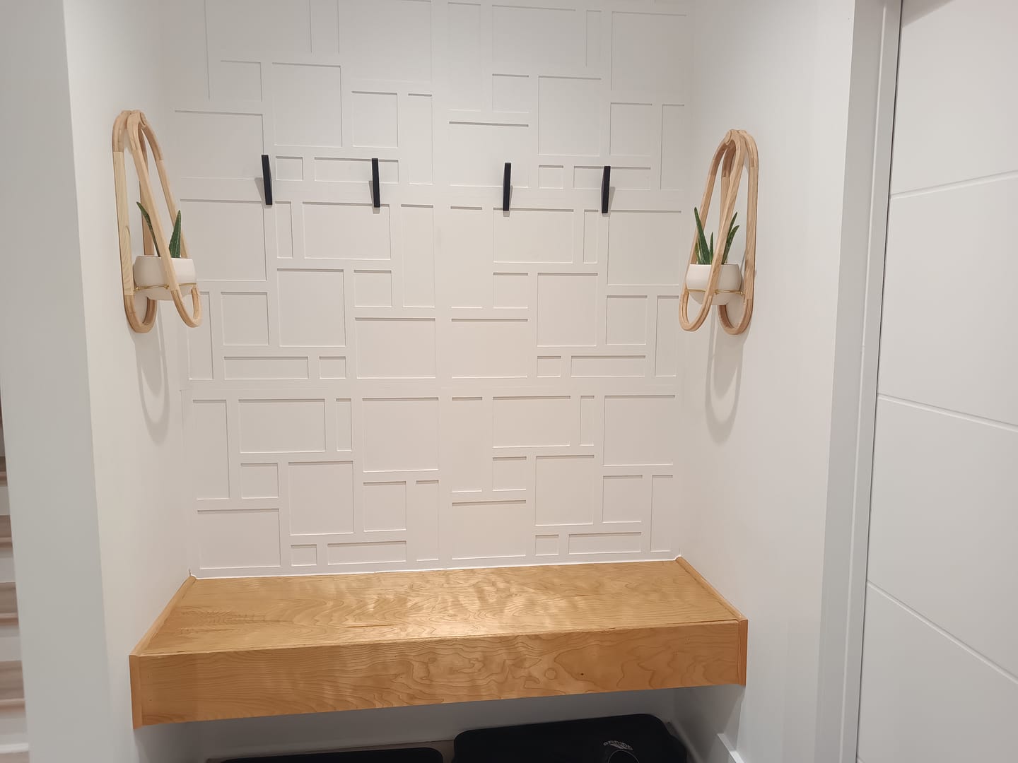 Customer photo review of Frame Wall Planter + Pot Duo