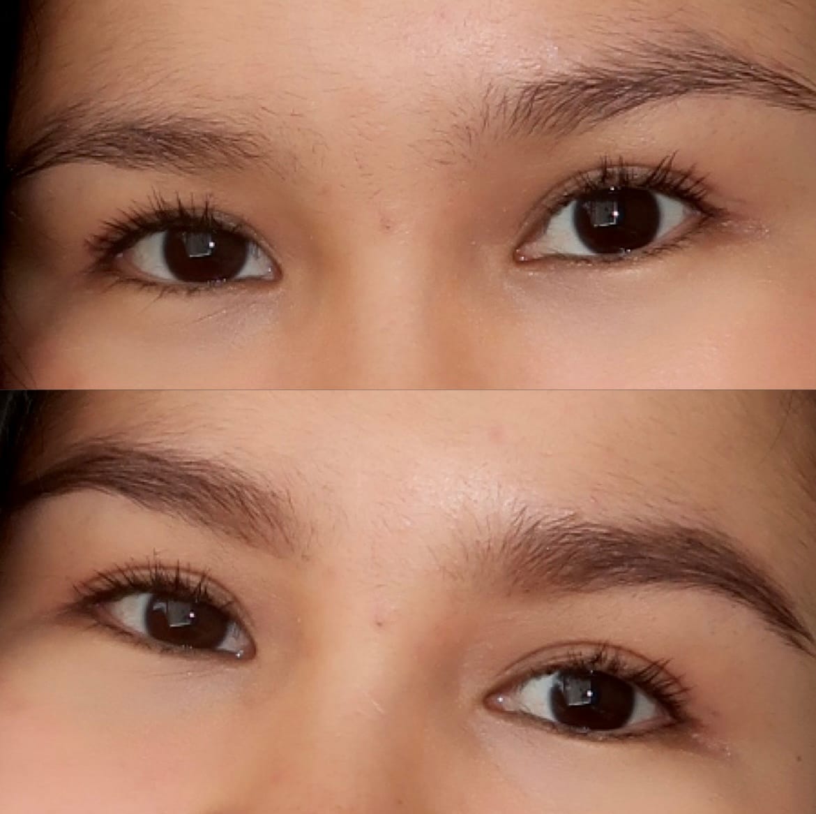 Customer photo review of Brows Brows Brows Kit - Brow Kit, Brow Wax + Free Brush Set