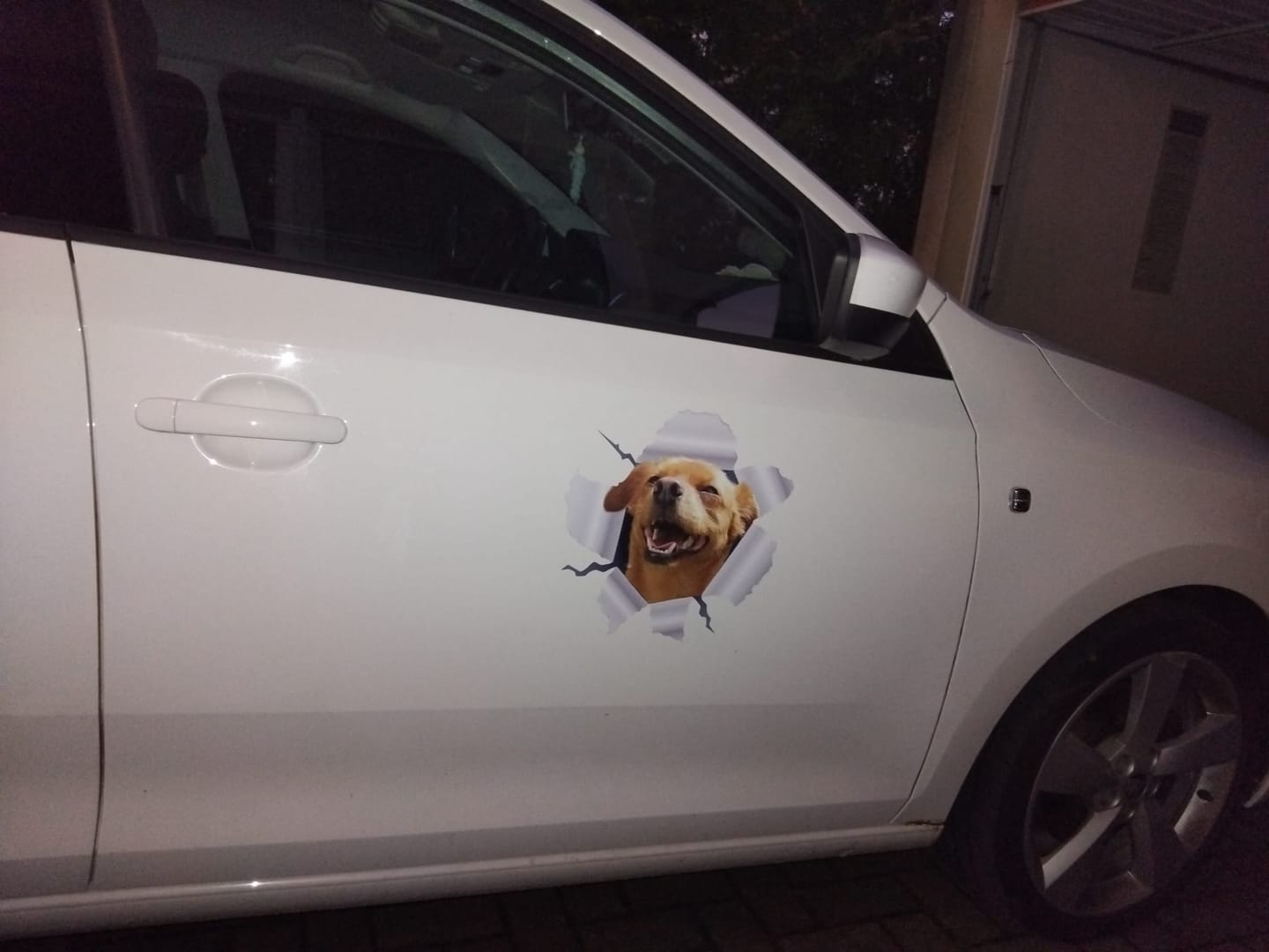 Customer photo review of Spähendes Foto - Individueller Autoaufkleber
