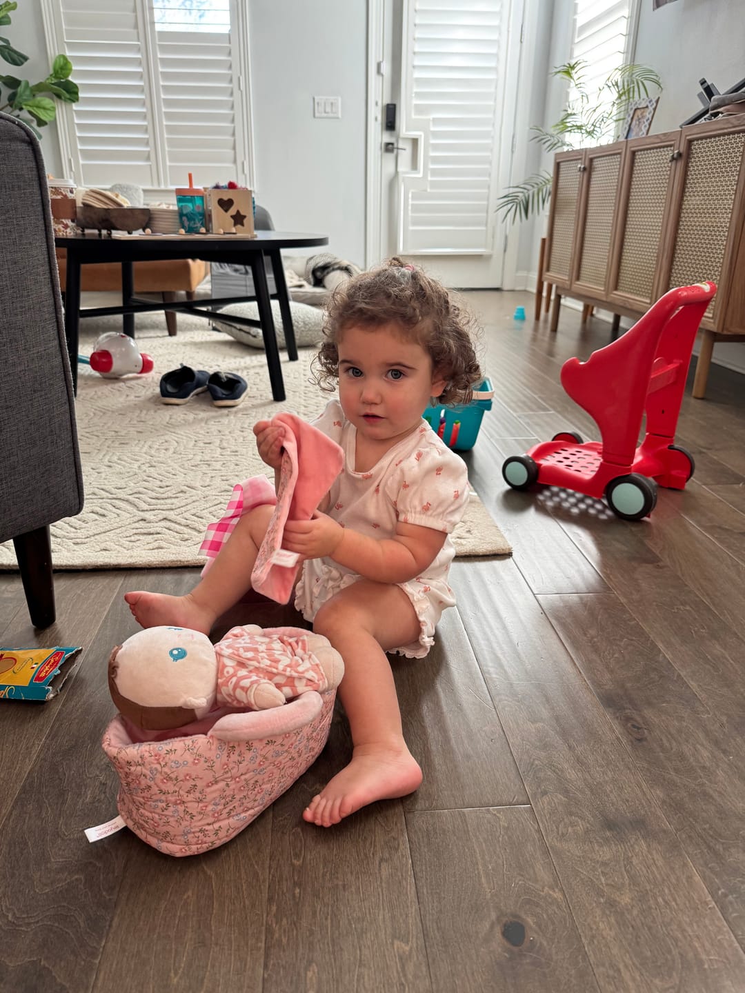 Customer photo review of Baby Girl Crib Playset