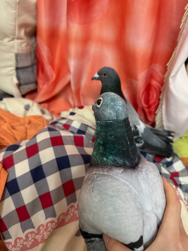 Customer photo review of Realistic Hill Pigeon Plush Toy – Soft and Lifelike Stuffed Bird