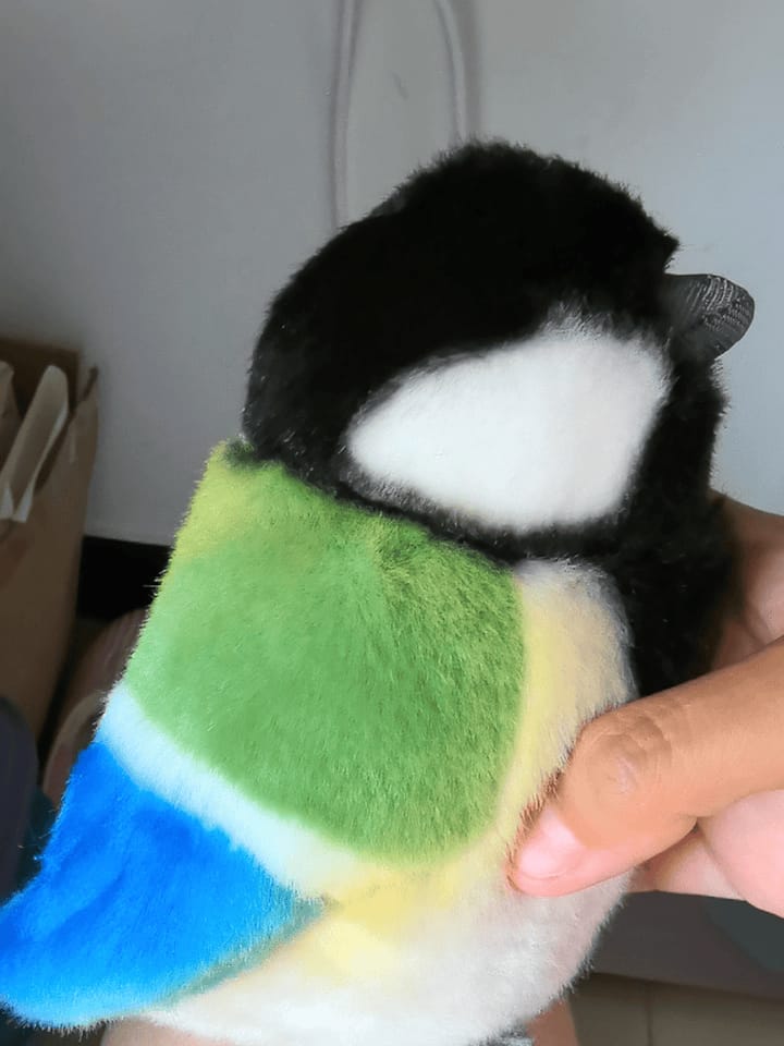 Customer photo review of Adorable Great Tit Plush Toy – Realistic Design and Chubby Charm