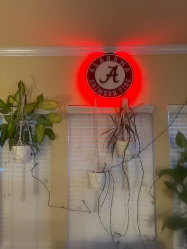 Customer photo review of Alabama Crimson Tide 3D Vintage Metal Wall Art