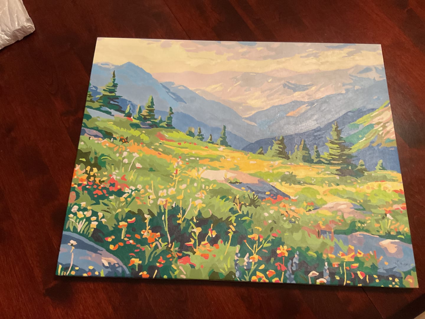 Customer photo review of Mountain Chain View