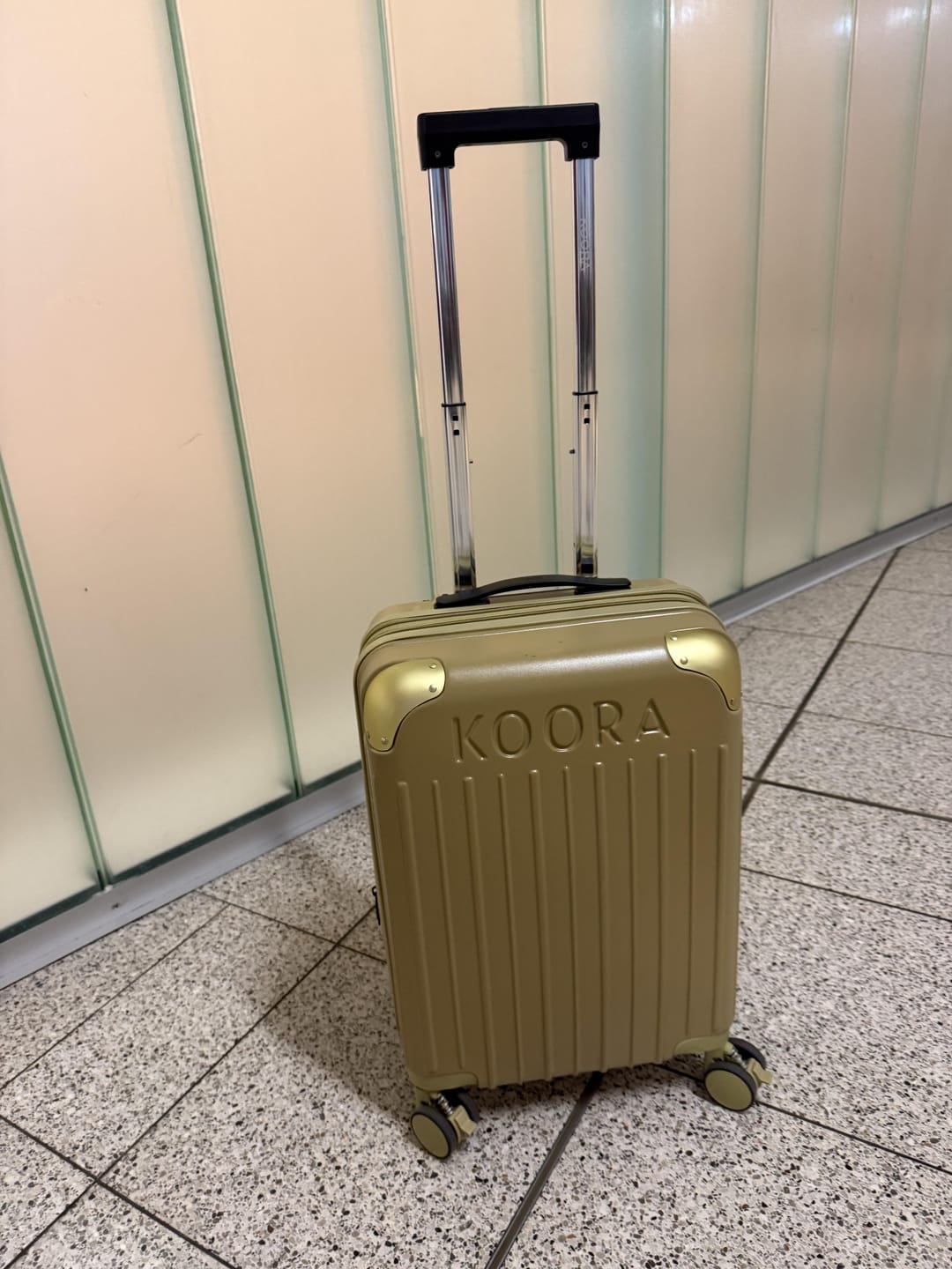 Customer photo review of Eco Lite Expandable Carry On | Earthy Gold