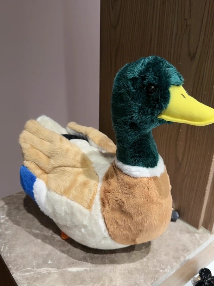 Customer photo review of Lifelike Mallard Duck Plush Toy – Soft, Realistic, and Charming