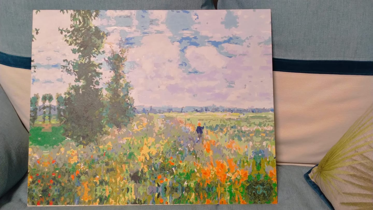 Customer photo review of Campo de Amapolas cerca de Argenteuil