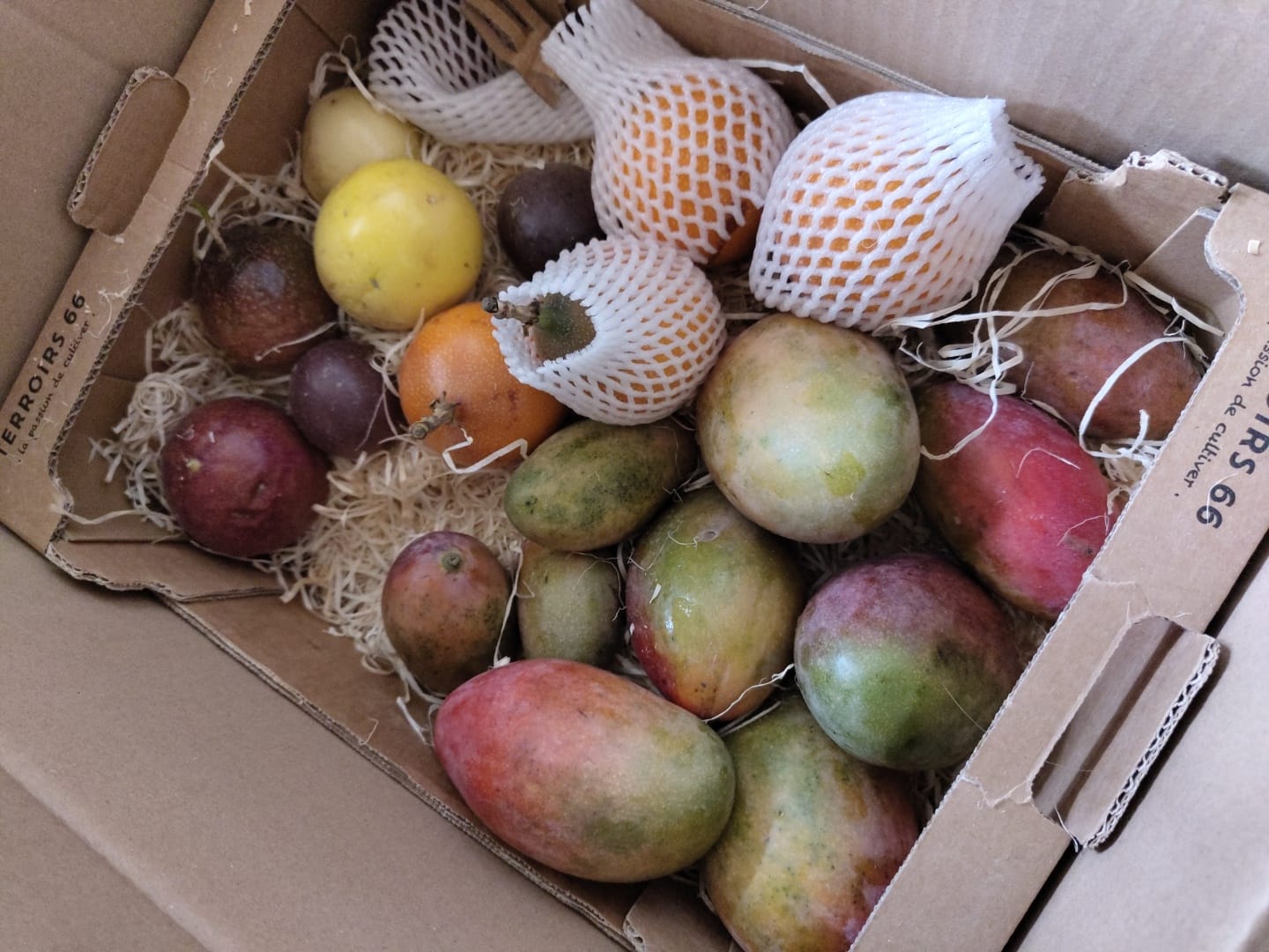 Customer photo review of Mini-Mango Osteen Bio Sonderpreis % 3kg