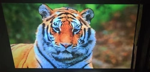 Customer photo review of Arcade Vision Projector